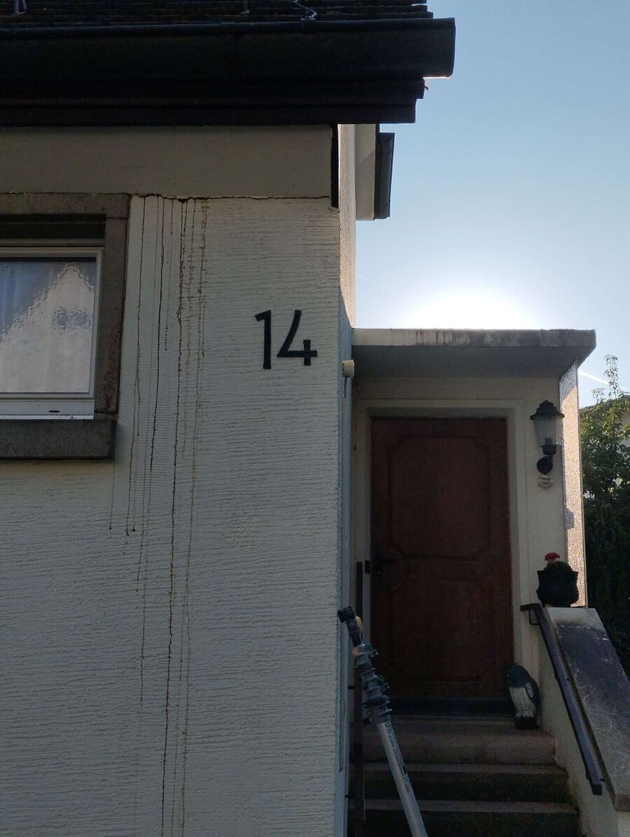 Bee nest at the house remove