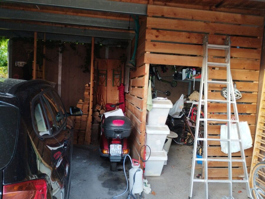 Bee nest at the house remove