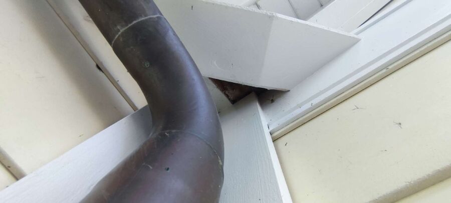 Bee nest at the house remove