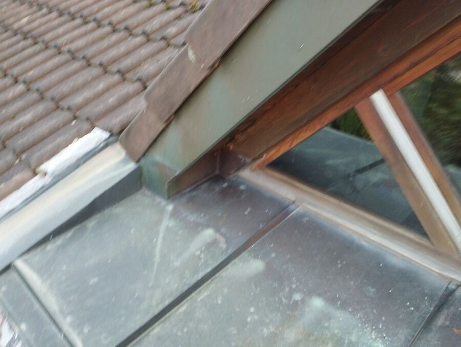 Bee nest at the house remove