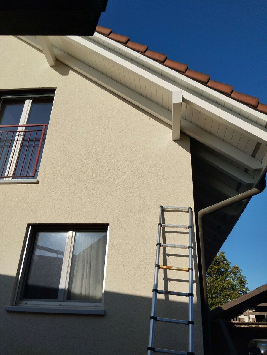 Bee nest at the house remove