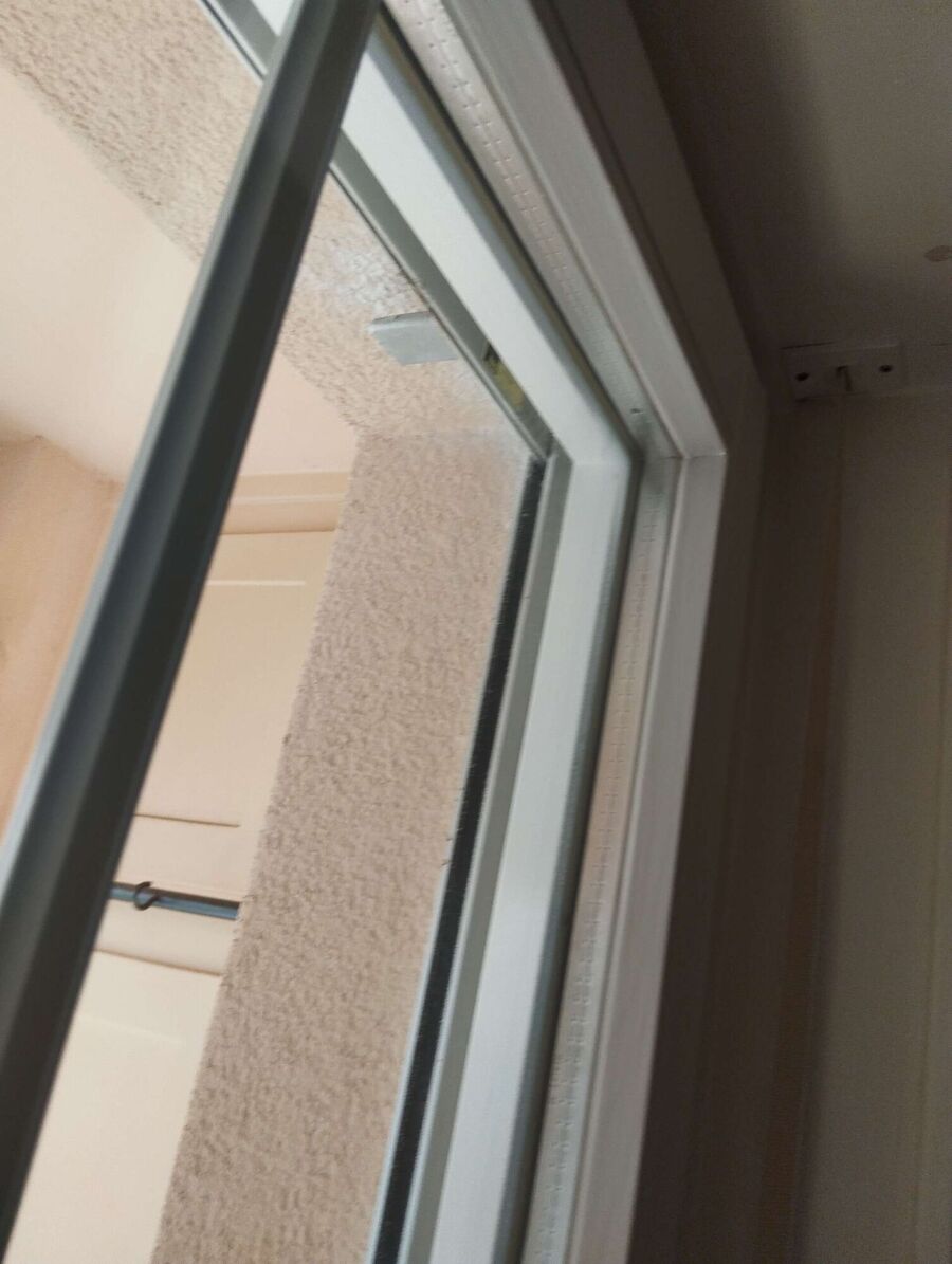 Relocate bees & remove bee nest