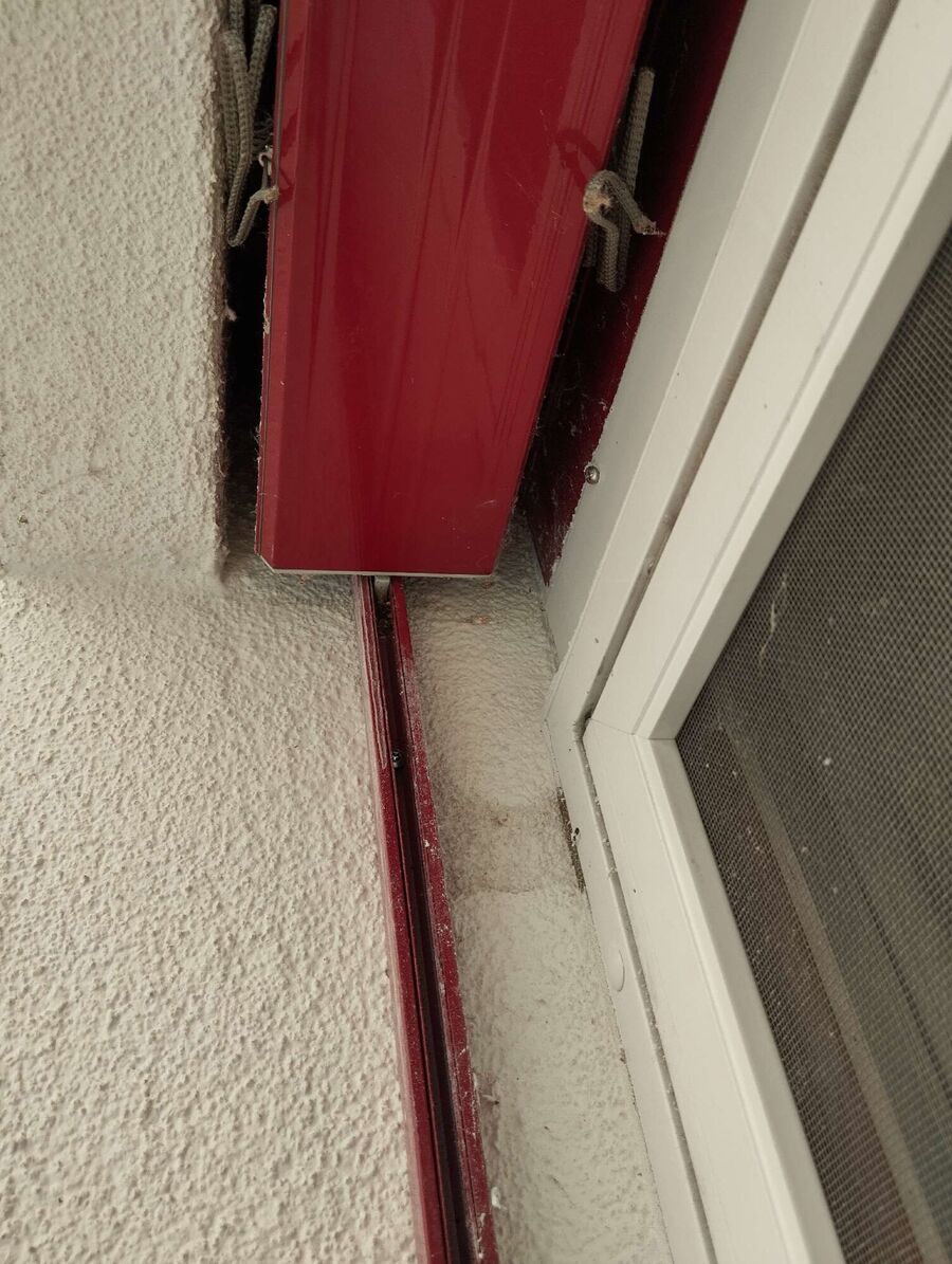 Bee nest at the house remove