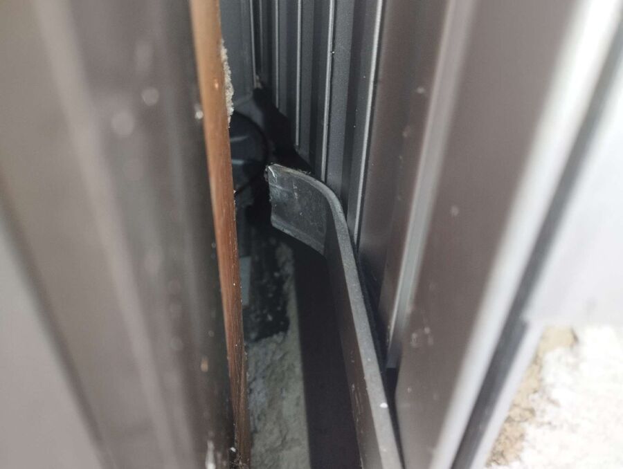 Relocate bees & remove bee nest