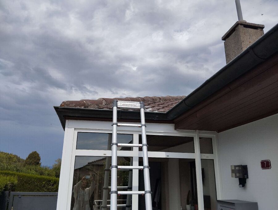 Bee nest at the house remove