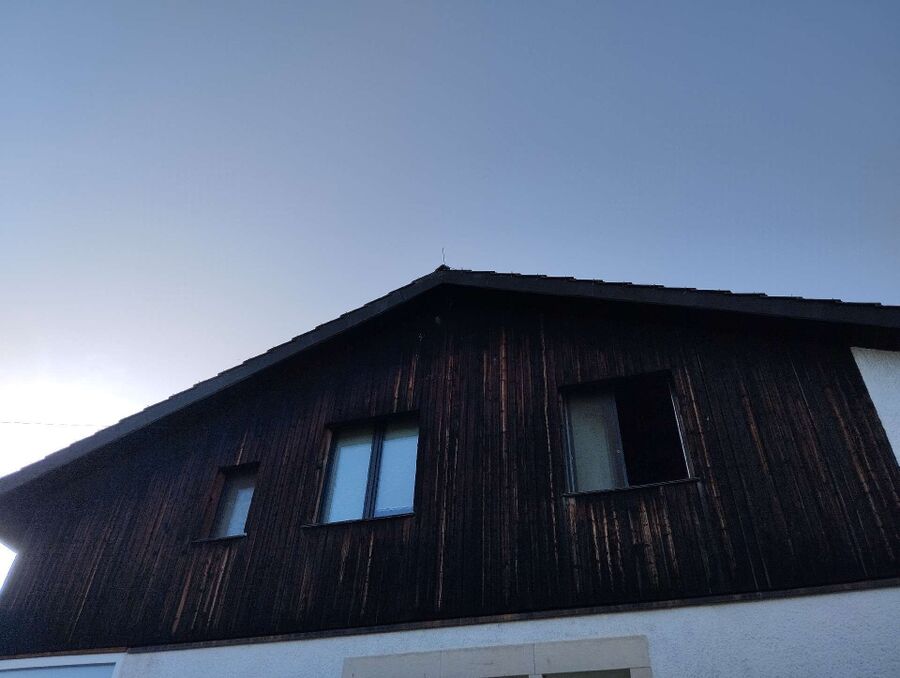 Bee nest at the house remove