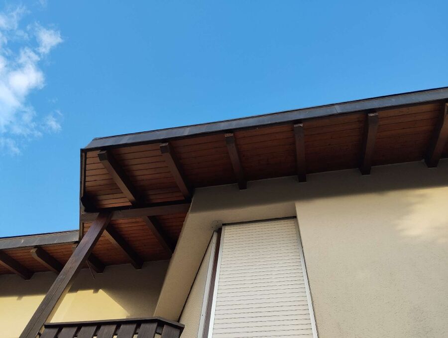 Bee nest at the house remove