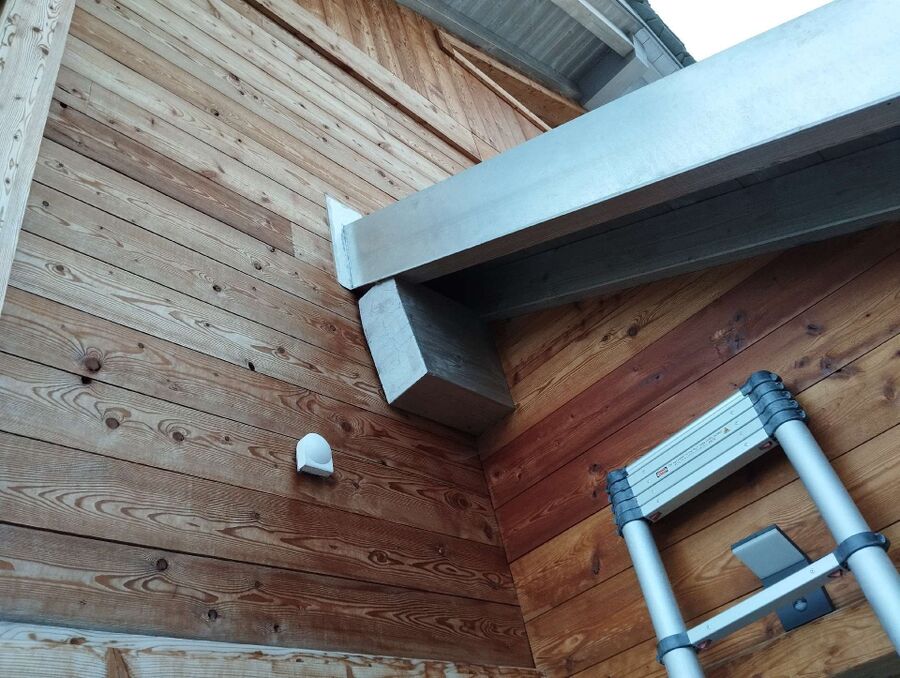 Bee nest at the house remove