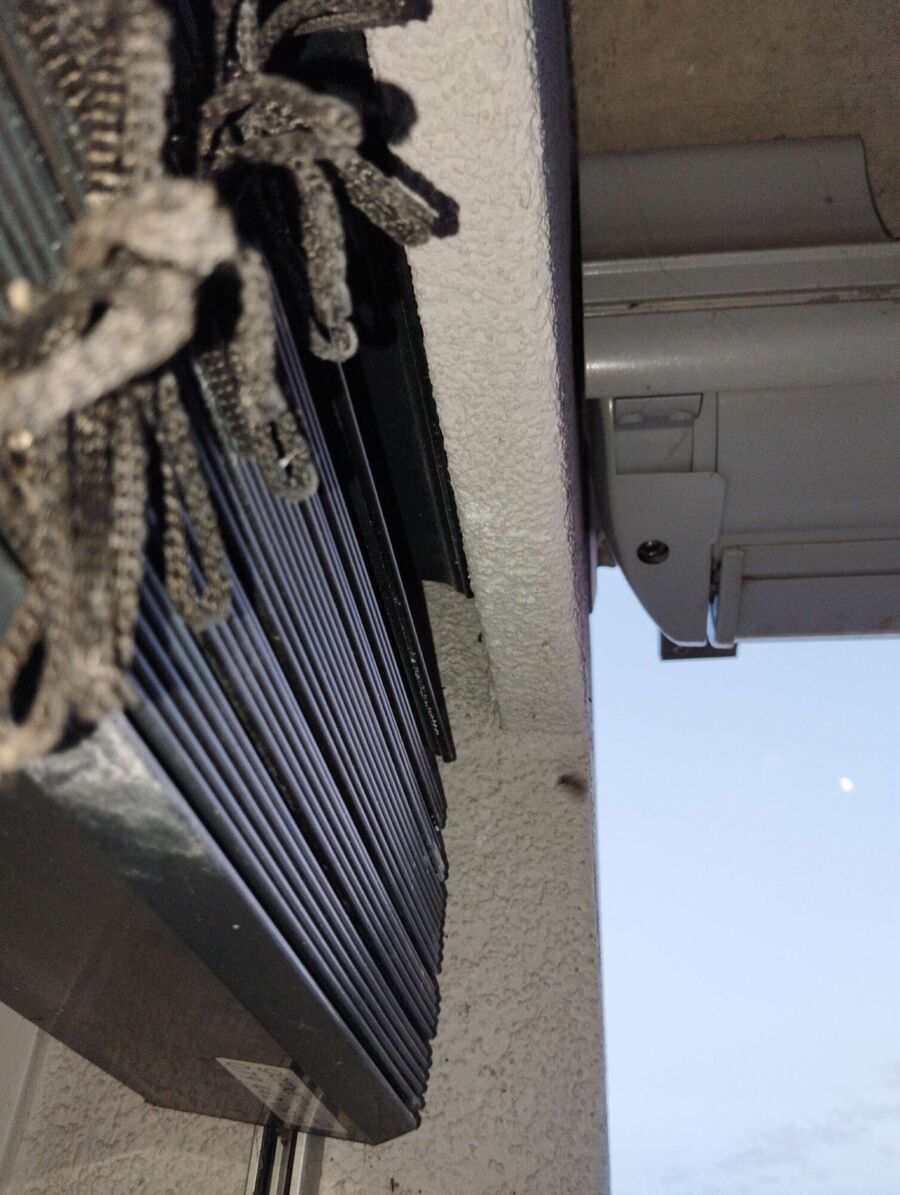 Bee nest at the house remove