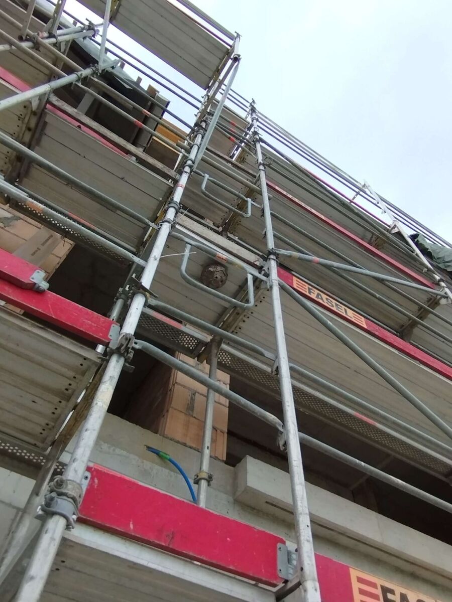 Bee nest at the house remove