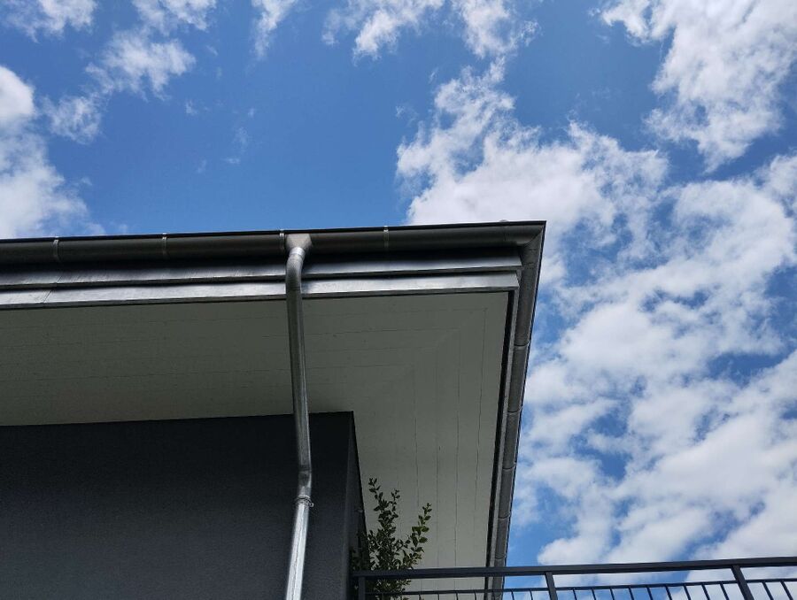 Relocate bees & remove bee nest