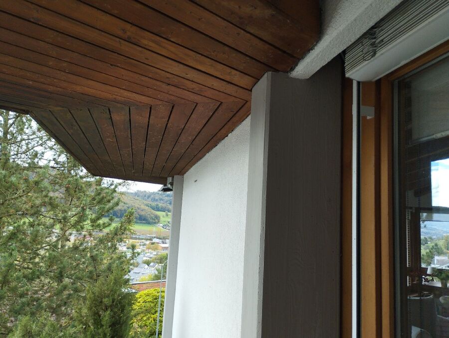 Bee nest at the house remove