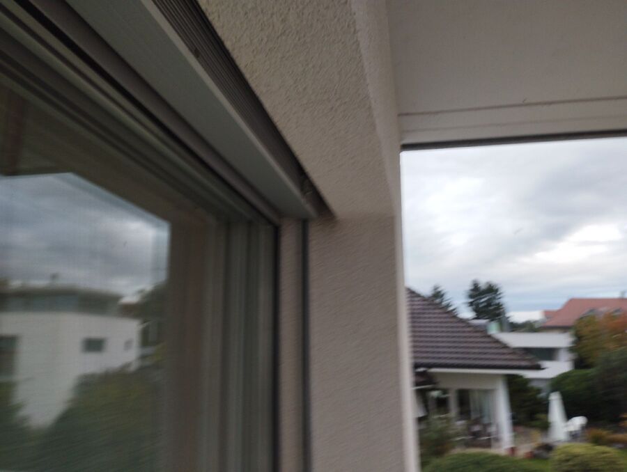 Relocate bees & remove bee nest