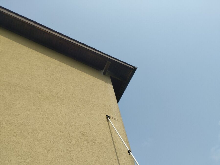 Relocate bees & remove bee nest