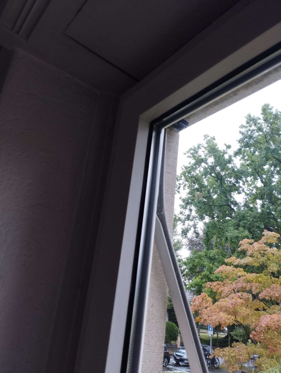 Bee nest at the house remove