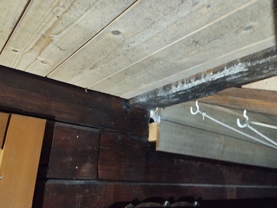 Bee nest at the house remove