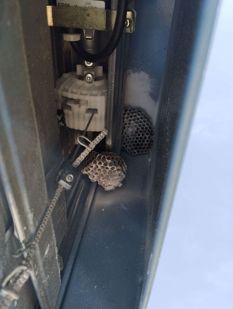 Bee nest at the house remove