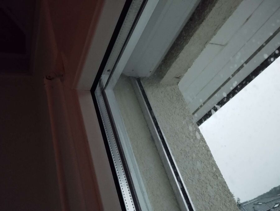 Relocate bees & remove bee nest