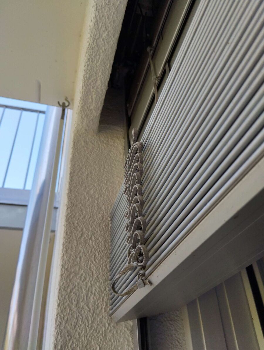 Relocate bees & remove bee nest