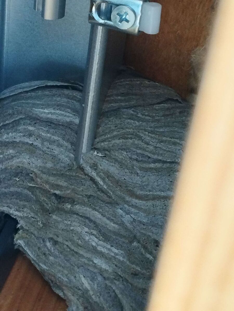 Bee nest at the house remove