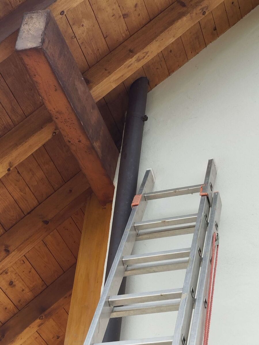 Bee nest at the house remove