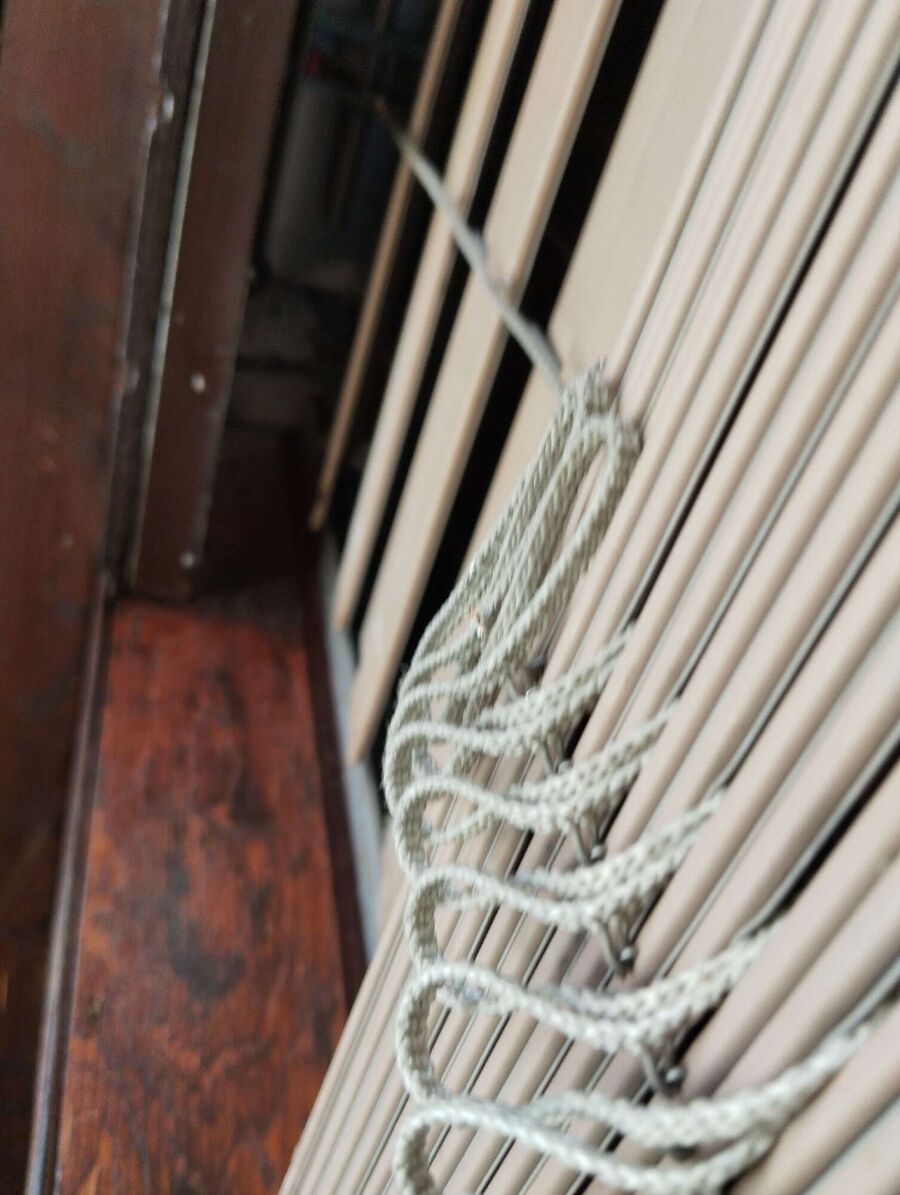 Bee nest at the house remove