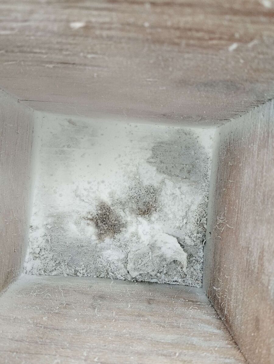 Bee nest at the house remove