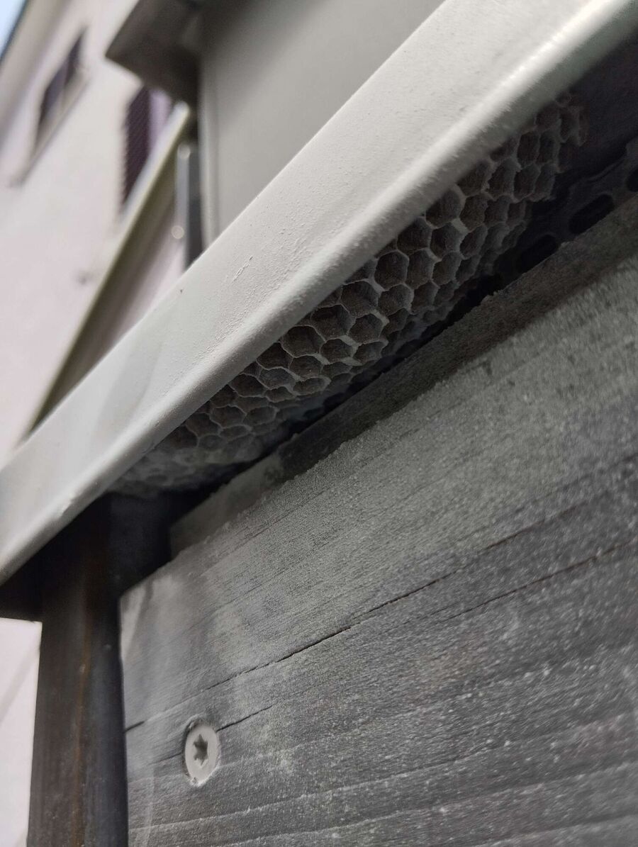 Bee nest at the house remove