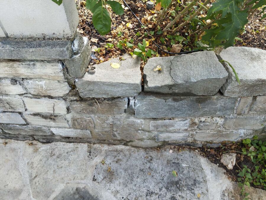 Bee nest at the house remove