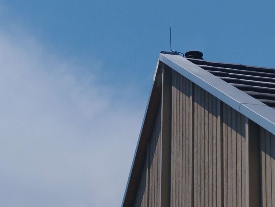 Bee nest at the house remove