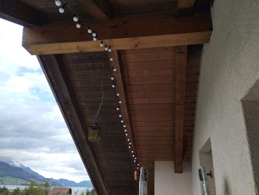 Relocate bees & remove bee nest