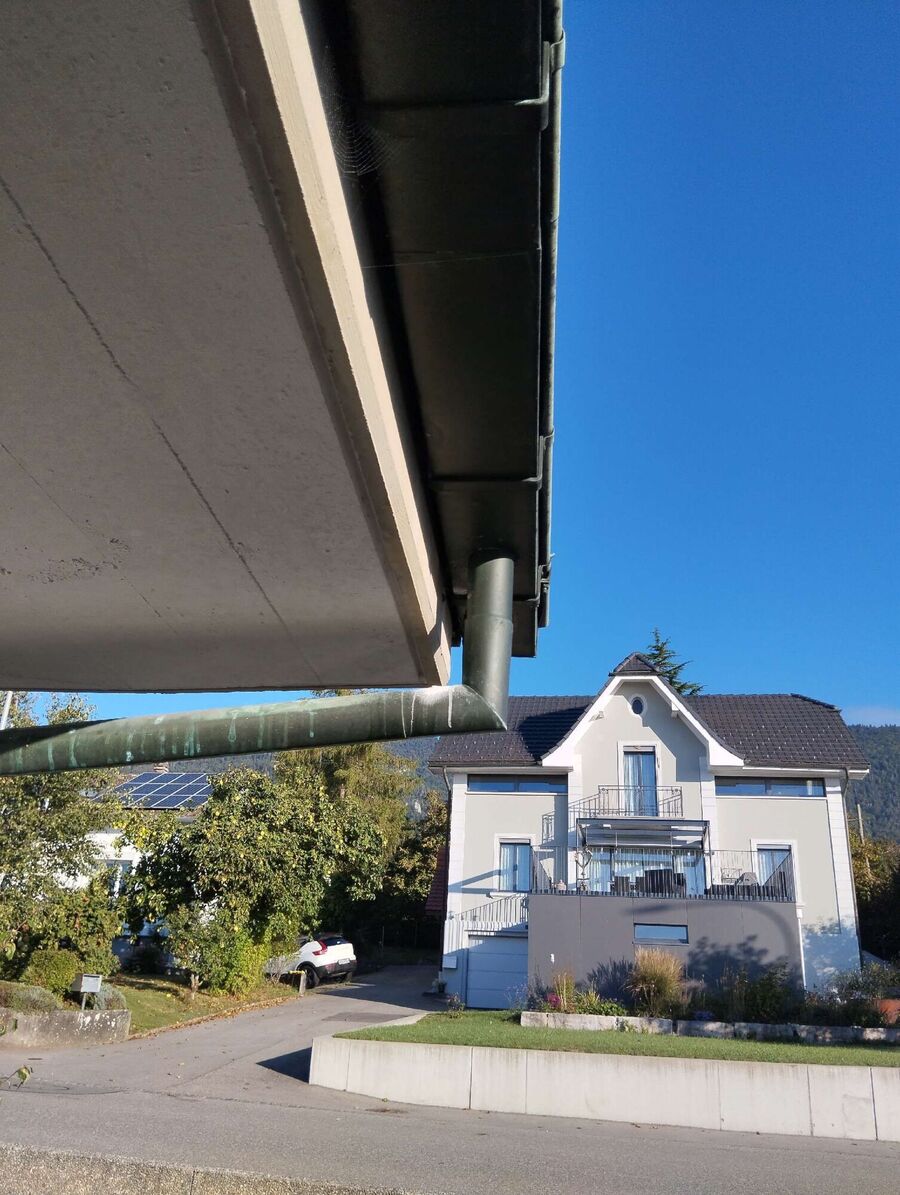 Bee nest at the house remove