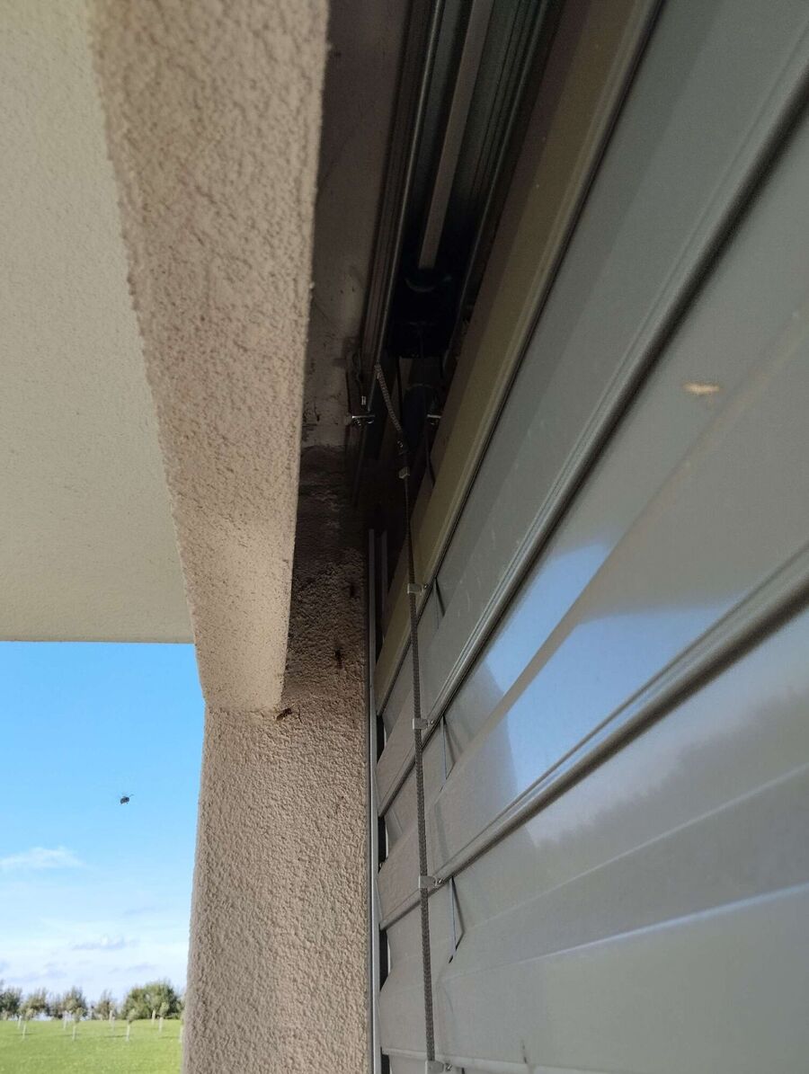 Bee nest at the house remove