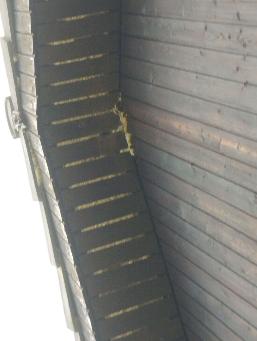 Bee nest at the house remove