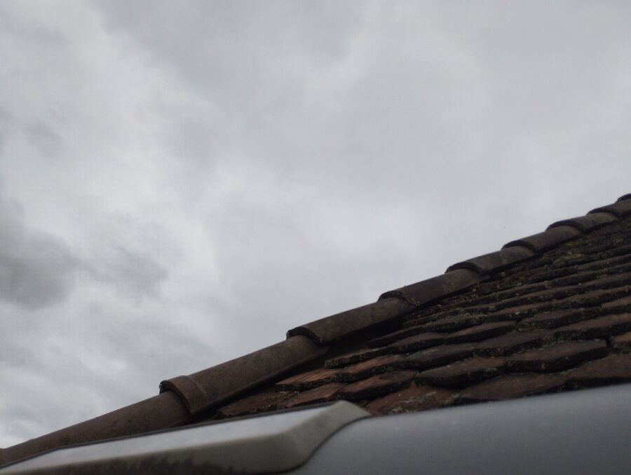 Bee nest at the house remove