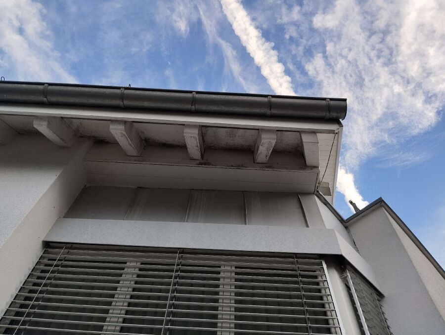 Bee nest at the house remove