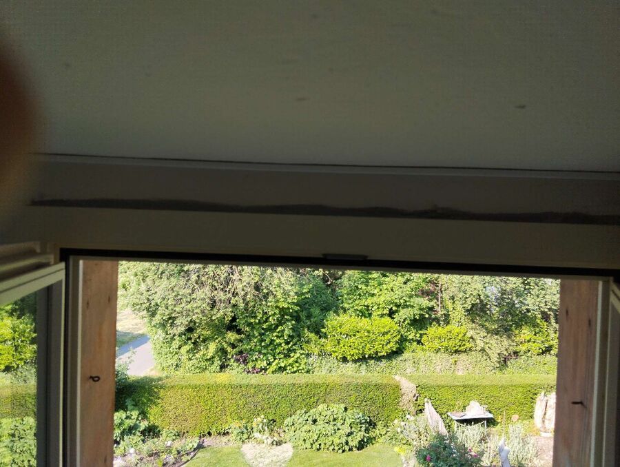 Relocate bees & remove bee nest