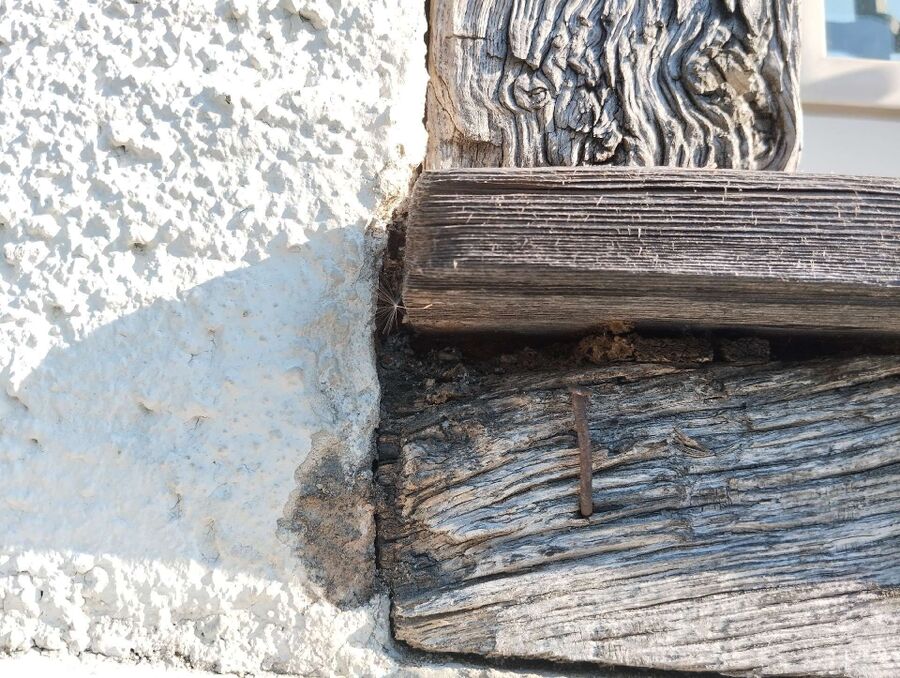 Bee nest at the house remove