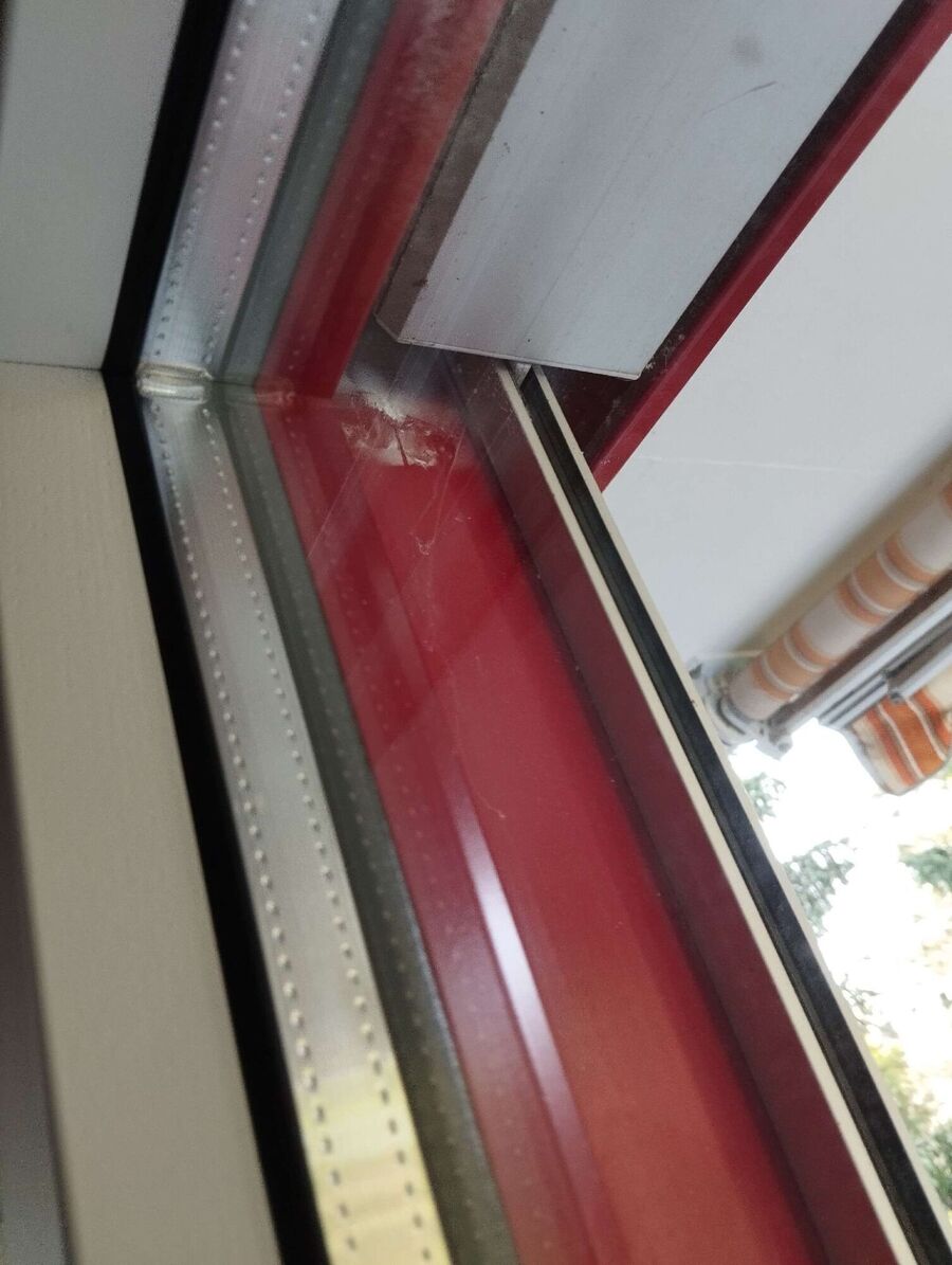 Relocate bees & remove bee nest