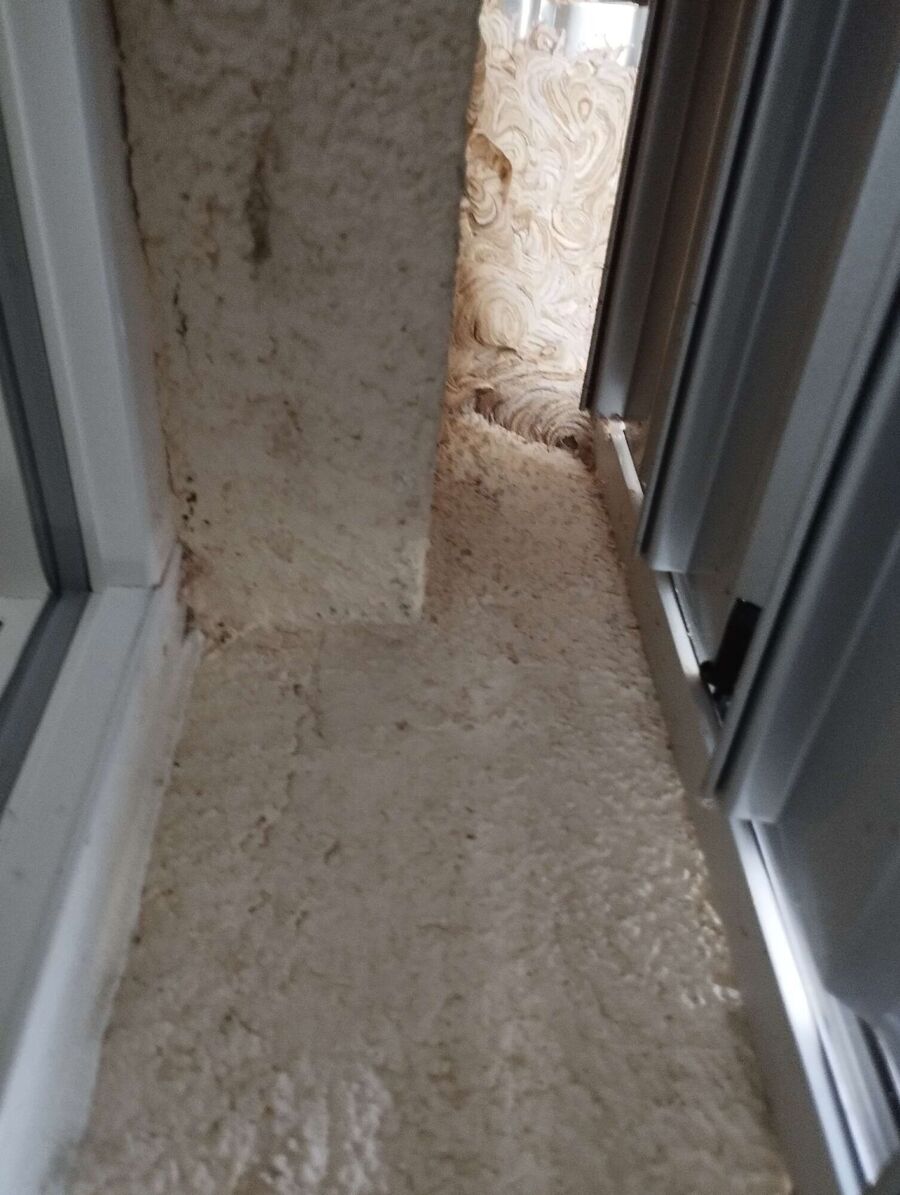 Bee nest at the house remove