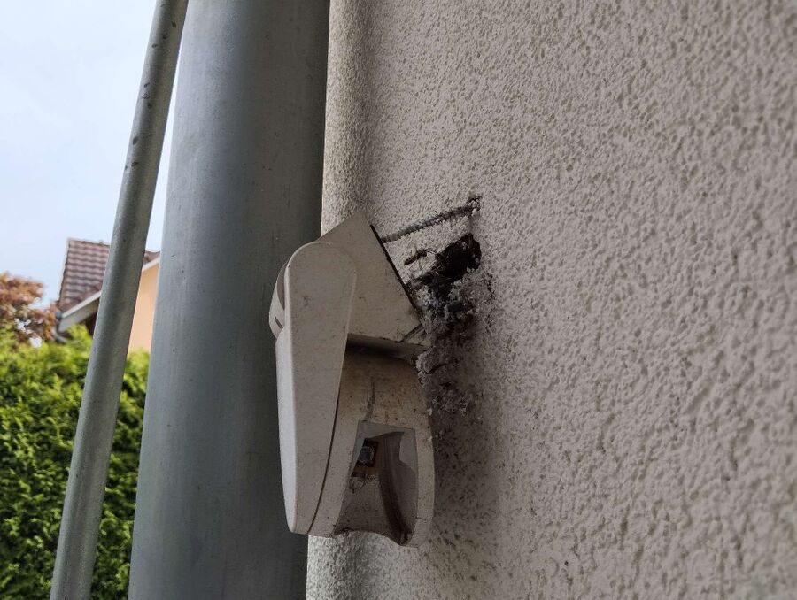 Bee nest at the house remove