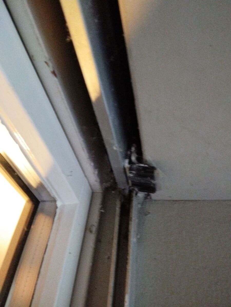 Bee nest at the house remove