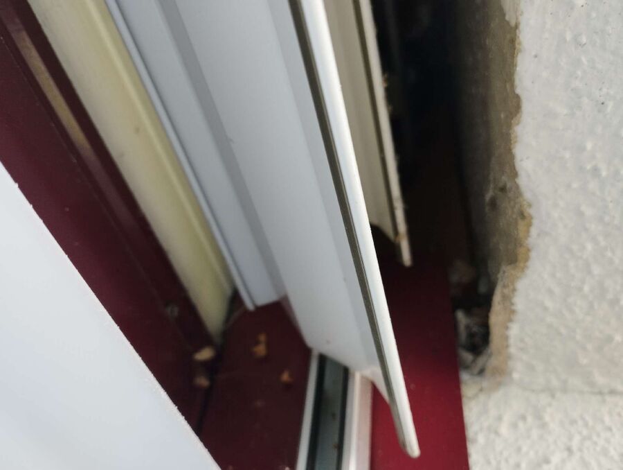 Bee nest at the house remove