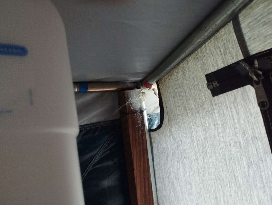 Bee nest at the house remove