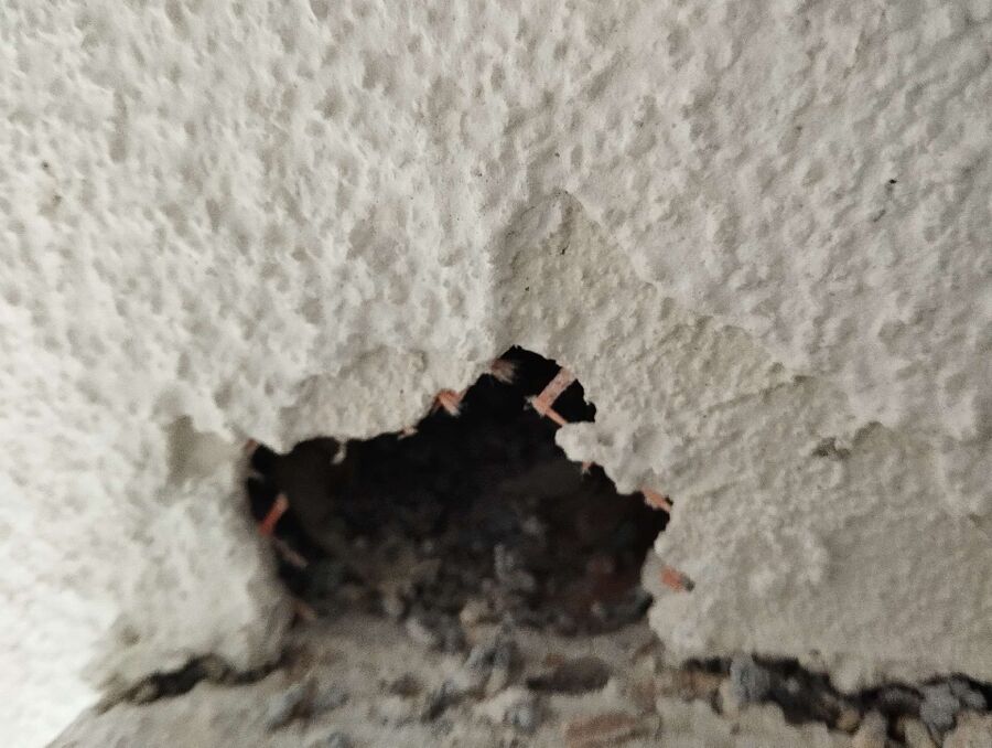 Bee nest at the house remove