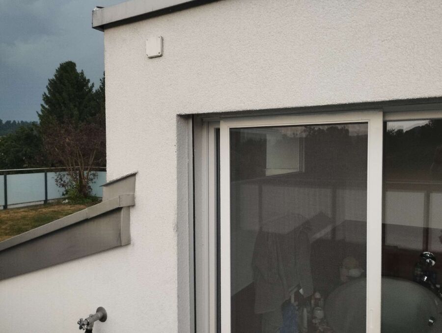 Relocate bees & remove bee nest