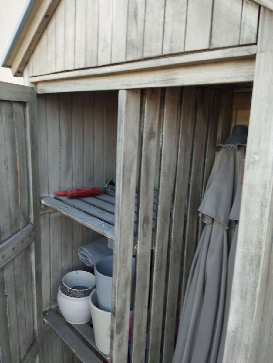 Bee nest at the house remove