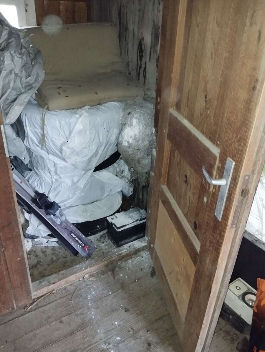 Relocate bees & remove bee nest