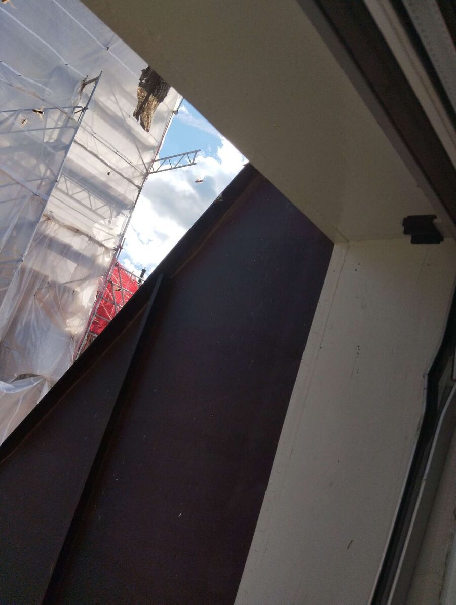 Bee nest at the house remove