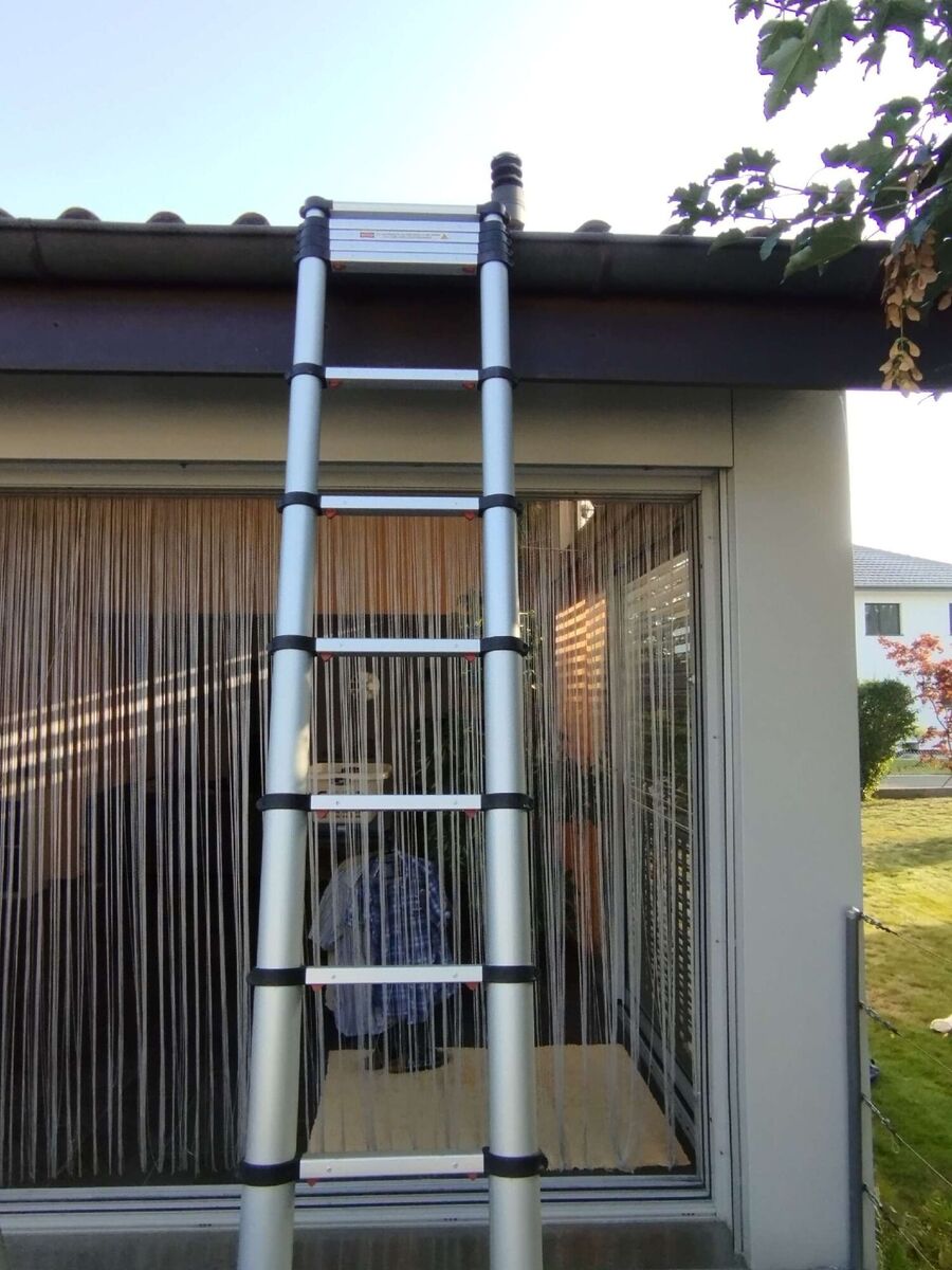 Bee nest at the house remove